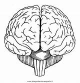 Brain Cervello Umano Persone Sketchite Lineart Kunjungi Coloringpagesfortoddlers sketch template