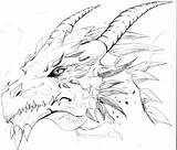Dragon Drawings Dragons Head Sketch Sketches Cool Drawing Heads Pixgood sketch template