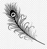 Peacock Feather Drawing Coloring Simple Line Clipart Easy Successful Flute Drawn Pinclipart Drawings Report Paintingvalley Kindpng sketch template