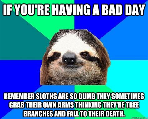 If You Re Having A Bad Day Remember Sloths Are So Dumb