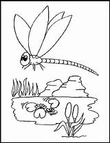 Coloring Pages Dragonfly Printable Color Template Kids Colouring Dragon Fly Print Templates Animal Animals Popular Sheets sketch template
