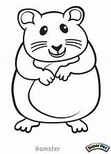 Hamsters Chinchilla Critter Dwarf Unclebills Colorier Clipartmag sketch template