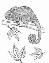 Chameleon Coloring Mandala Pages Animal Printable sketch template