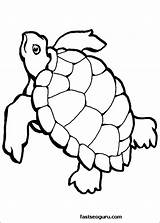 Tortue Coloriage Coloriages sketch template