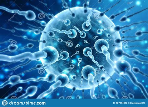 3d human sperm and egg cell in medical background stock illustration