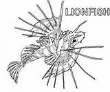 Coloring Lionfish Pages Color Kids Animals Library Printable 543px 71kb Clipart sketch template