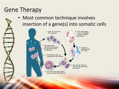 Ppt Gene And Antisense Therapy Powerpoint Presentation Free Download