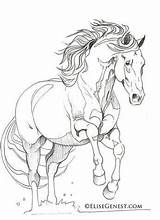 Andalusier Andalusian Pferde Friesian Lineart Pixstats Pferdezeichnungen sketch template