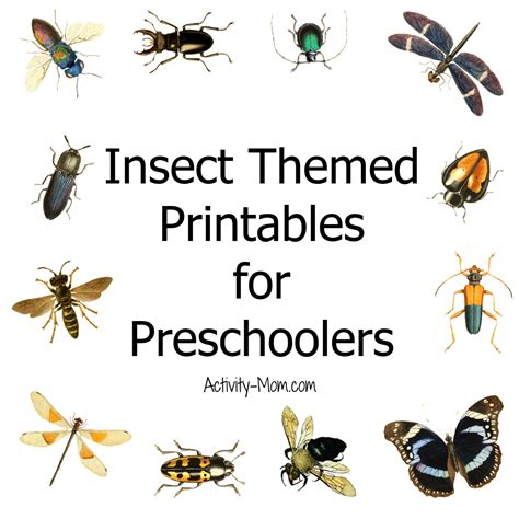 activity mom  preschool insect theme printables