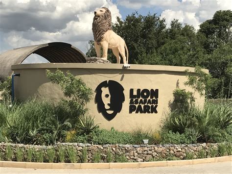 lion  safari park gauteng