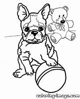 Coloring Boston Terrier Pages Printable Print Color Highland West Getcolorings Popular Coloringhome Luxury sketch template