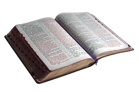 books   bible overview    canonical books
