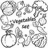 Verdure Impostate Gemüse Nero Appetit Illustrationen Vektoren sketch template