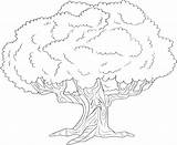 Oak Coloring Pages Trees Tree Printable Getcolorings sketch template