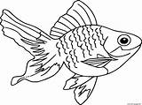 Goldfish Fantail sketch template