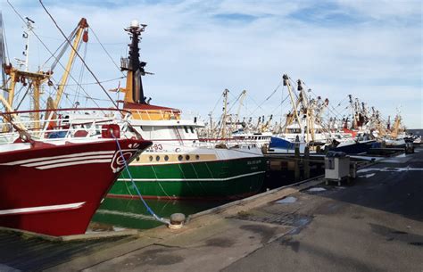 binnenkort brexitsteun voor vissers visserijnl