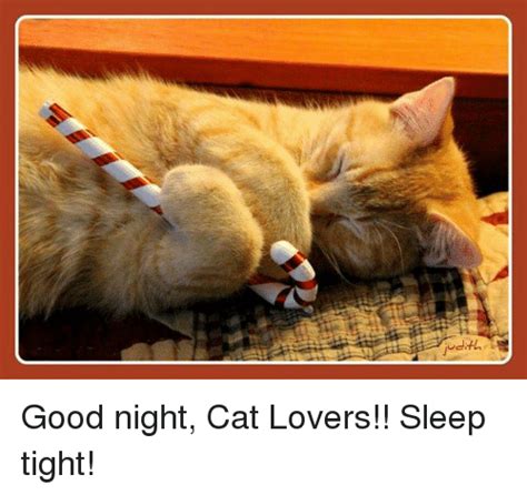 Good Night Cat Lovers Sleep Tight Meme On Me Me