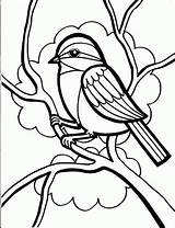 Bird Coloring Book National Wild sketch template