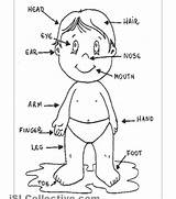 Body Parts Coloring Pages Girls Printable Kids Getcolorings Color sketch template