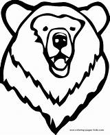 Bear Coloring Pages Head Animal Bears Printable Color Kids Toddlers Drawing Getdrawings Polar Sheets Found Visit Go sketch template