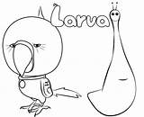 Larva Coloring Pages Prussian Violet Popular sketch template