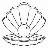 Outline Conch Drawing Clipartmag Iconfinder sketch template