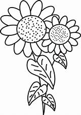 Sunflower Girassol Sunflowers Sheets Lindos Getdrawings sketch template