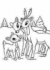 Rudolph Reindeer Nosed Deer Tulamama sketch template