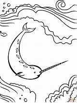 Coloring Narwhal Pages Unicorn Sea Printable Kids Color Drawing Cute Print Whale Baby Template Supercoloring Silhouettes sketch template