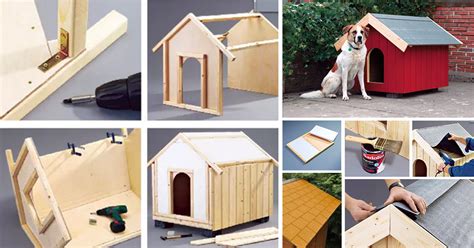 Riciclo scatole ecco come creare organizer fai da te. Costruire una cuccia per cani termoisolata con polistirolo