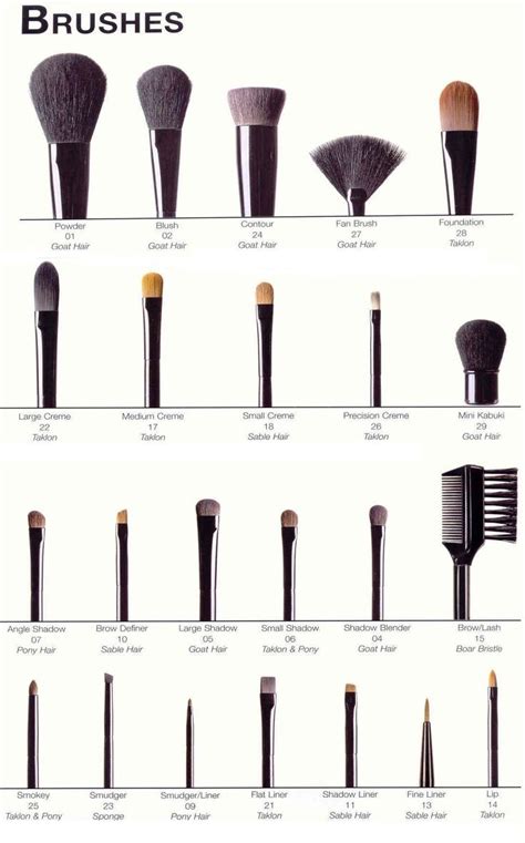brushes what they are and how to use them makeup charts
