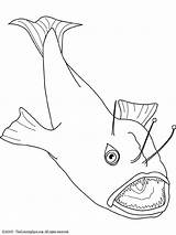 Anglerfish Coloriage Angler Pages Poisson Colorier Poissons sketch template