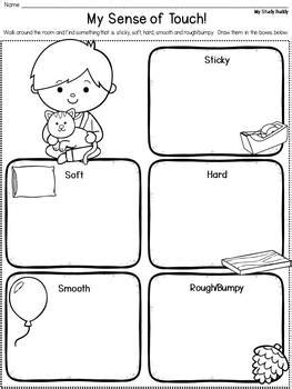 senses activities kindergarten   study buddy tpt