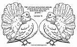 Coloring Pigeons Two Color Pairs Creatures Unclean Move Clean Bird Animals Text Description sketch template