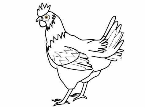 chicken coloring pages educative printable chicken coloring pages