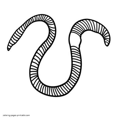 worm coloring pages  kids smart kiddyblogspotcom