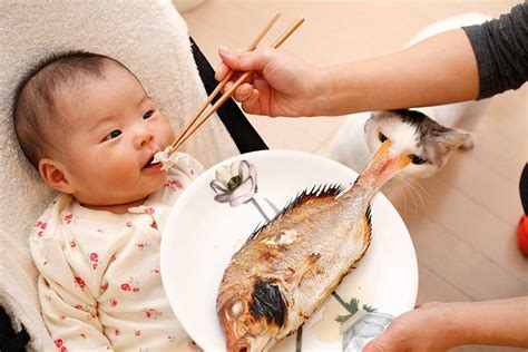 eating fish   child   protect   hay fever  scientist