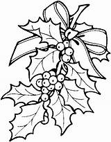 Coloring Holly Christmas Pages Printable Kids Print Adults Xmas Berry Leaves Color Drawing Ornament Patterns Painting Templates Embroidery Pattern Kleurplaat sketch template
