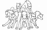 Wolf Coloring Pages Pack Drawing Minecraft Wolves Fighting Drawings Paintingvalley Color Anime Getdrawings Getcolorings sketch template