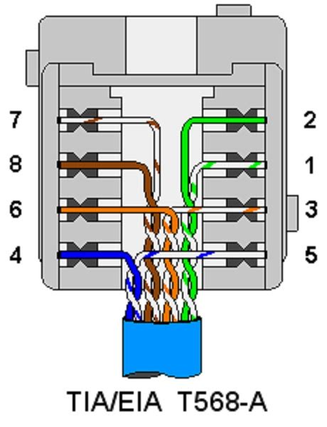 cate rj wall socket wiring diagram