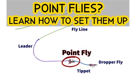 point fly fishing  multiple flies guide recommended