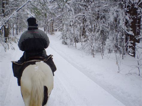 winter horseback riding  stock photo public domain pictures