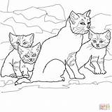 Kittens Cat Coloring Mother Sand Pages Drawing Kitten Clipart Printable Color Supercoloring sketch template
