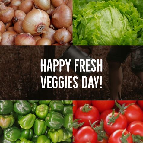 happy fresh veggies day      prepare  vegetables fresh  house daily