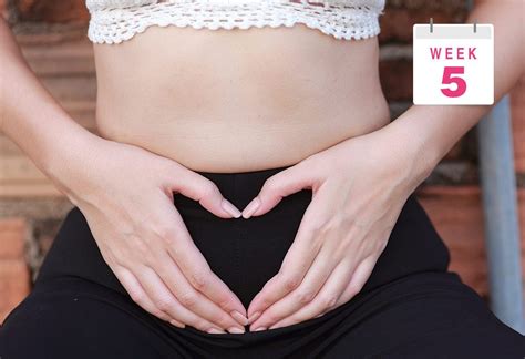 weeks pregnant symptoms baby size body