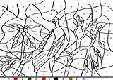 Coloring Color Bird Number Numbers Coloriage Magique Pages Hellokids Animaux Colorier Print Online Paint Imprimer Dessin Kids Chiffres Animal Pour sketch template