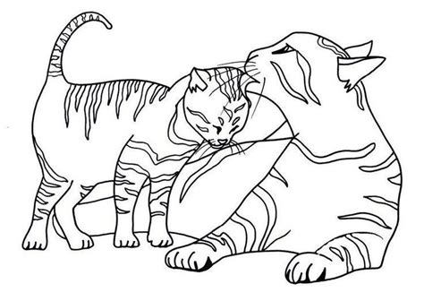 tabby cat coloring pages  getdrawings