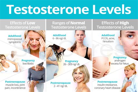 Testosterone Levels Shecares
