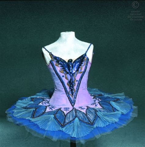 a blue and pink ballet tutu with butterflies on it