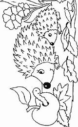 Igel Ausmalbild Ausmalbilder Herbst Hedgehogs Igeln sketch template